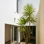 Panzió Pe Na Areia - 3*
